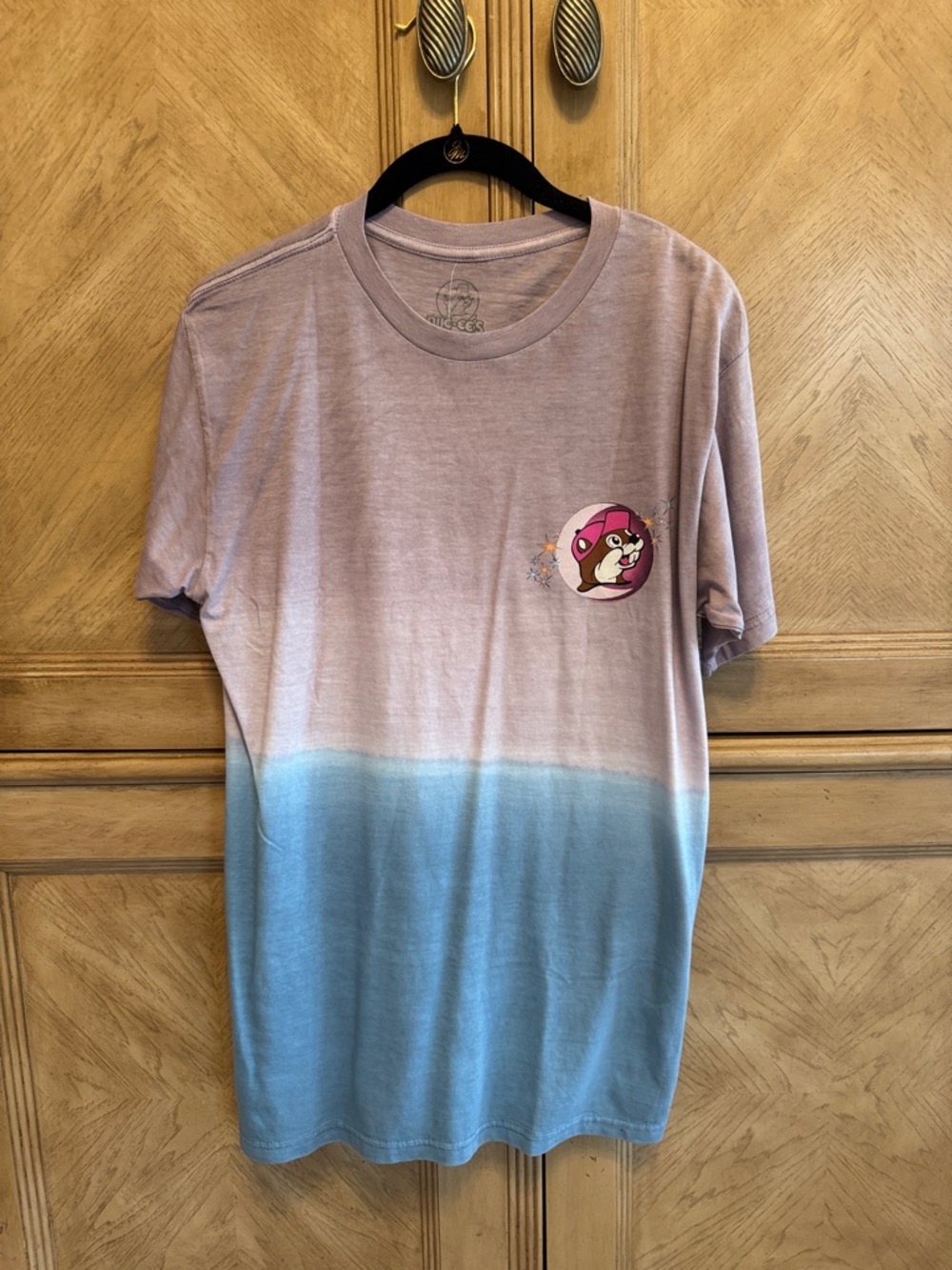 Ladies Gradient Pink and Blue Tee with Character Graphic
